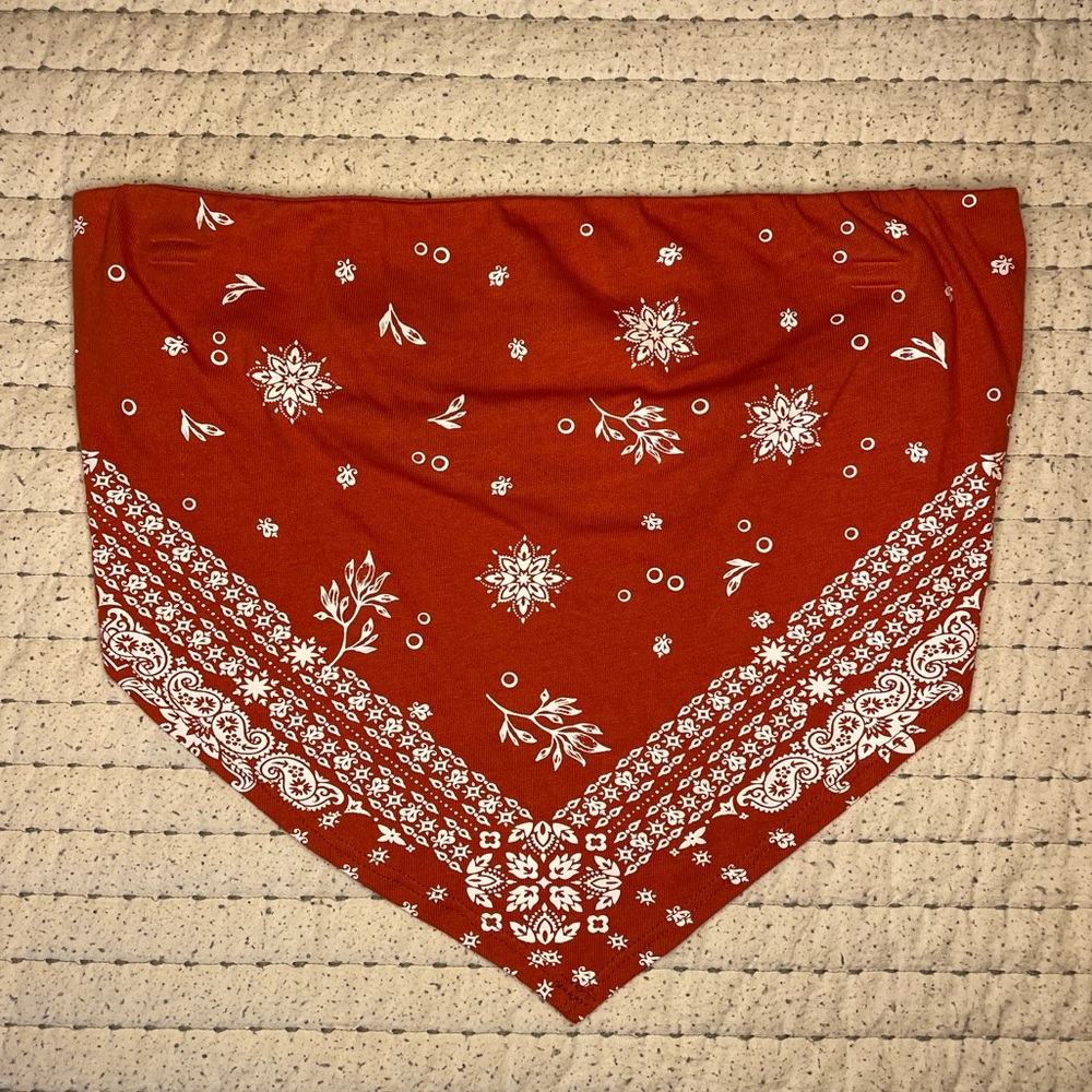 Bandana Crop Top